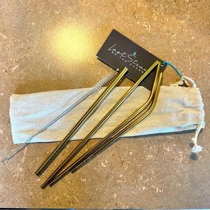 Gold Reusable Stainless Steel Straws (6-piece set)
